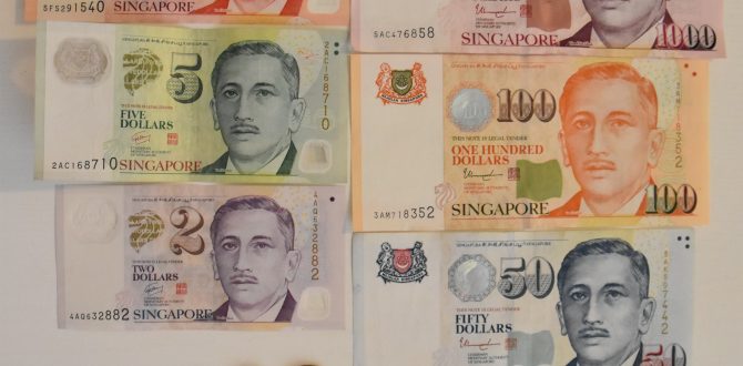 シンガポールドル紙幣 コインの種類 チップの有無 ケチ男とグル女のシンガポール駐在記